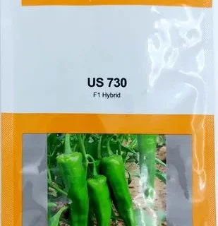 Nunhems US 730 Chilli Seeds - Semi-Spreading & Early Harvest Chilli -Kisanjeevan