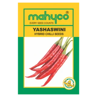 Yashaswaini Chilli Seeds for High Yield -Kisanjeevan